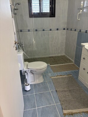 Hair dryer, towels, toilet paper