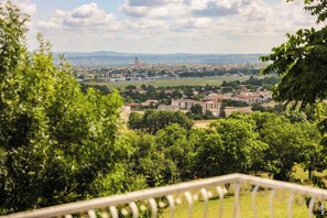 Property grounds - View from Albi - Countryside - Garden (Le Sequestre)
