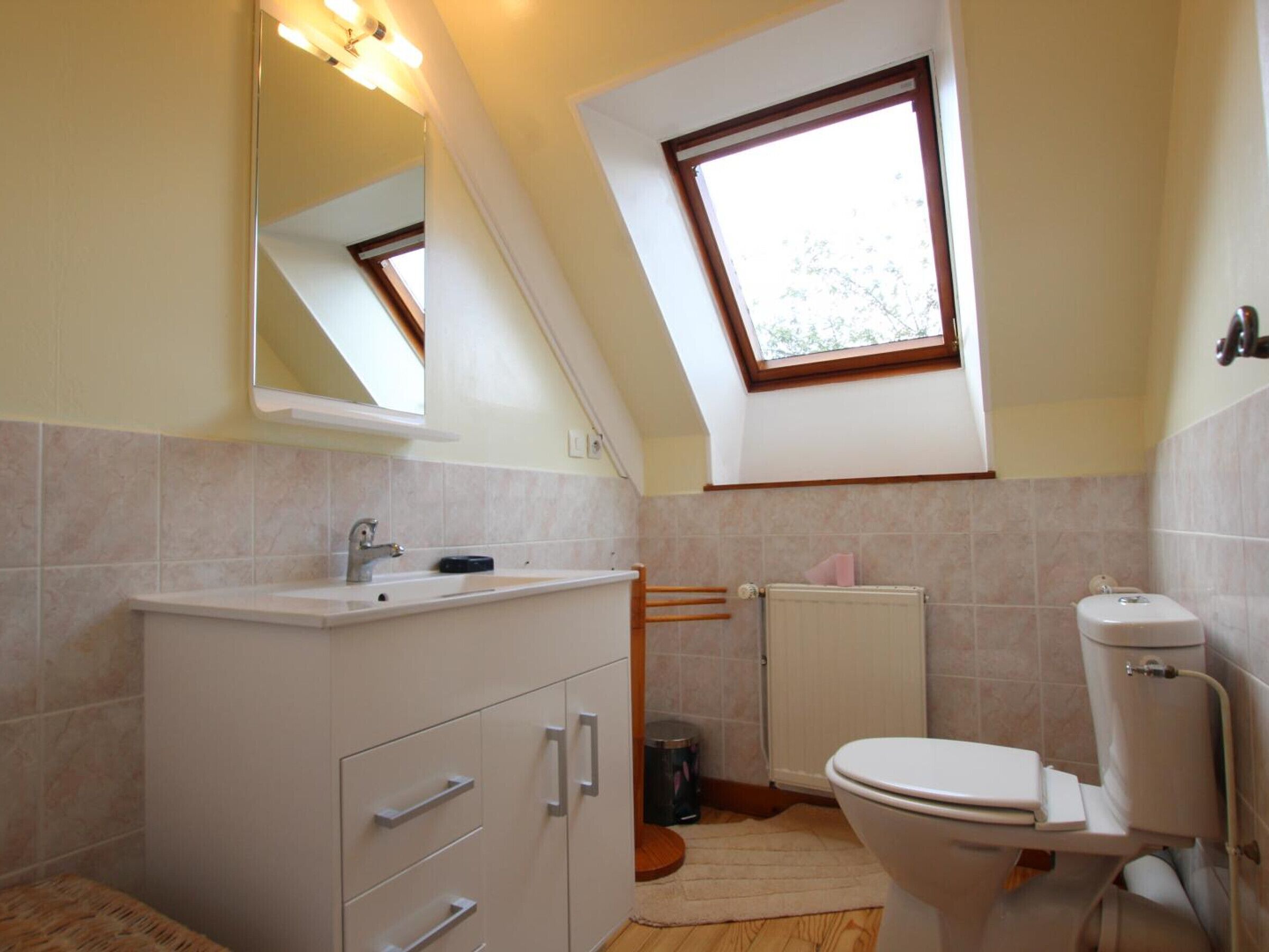 A small, modern bathroom with a skylight, a white sink, and a toilet.