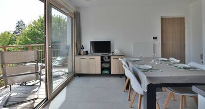 Grand studio à Thonon, près du lac avec parking