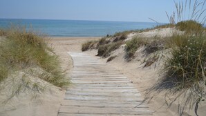Ein Holzweg führt zu einem Strand mit Dünen und vereinzelter Vegetation.
