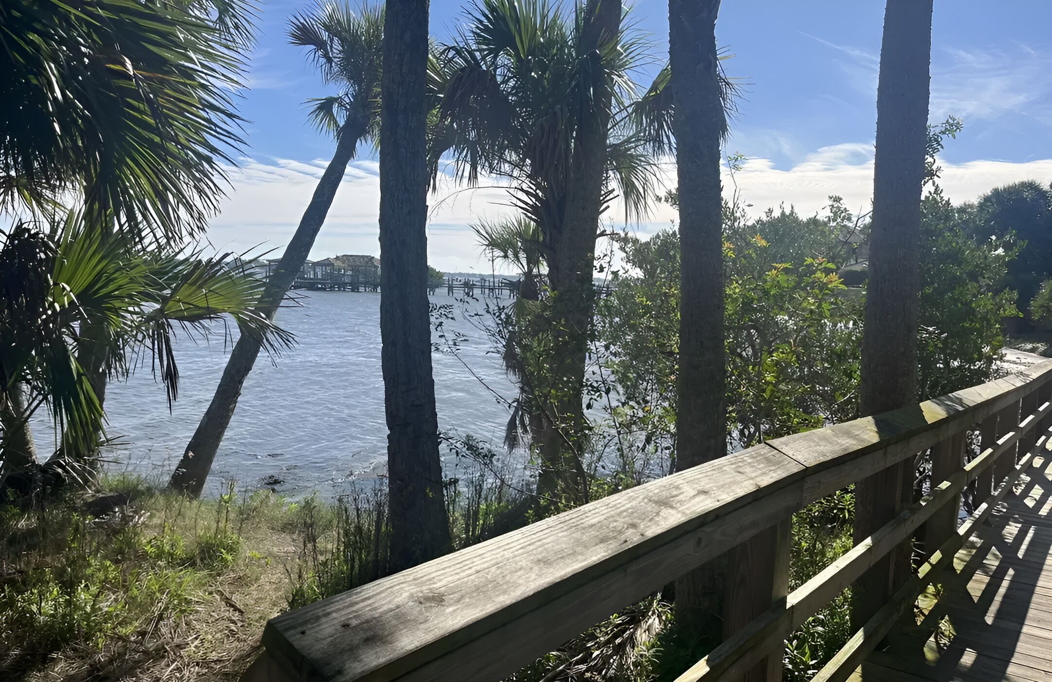 A wooden deck overlooking a body of water with palm trees and distant buildings.