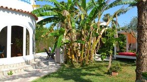 A white building with a blue balcony, surrounded by banana trees and a small garden. - Modern house near beach, pool, WiFi, air conditioning (Denia)