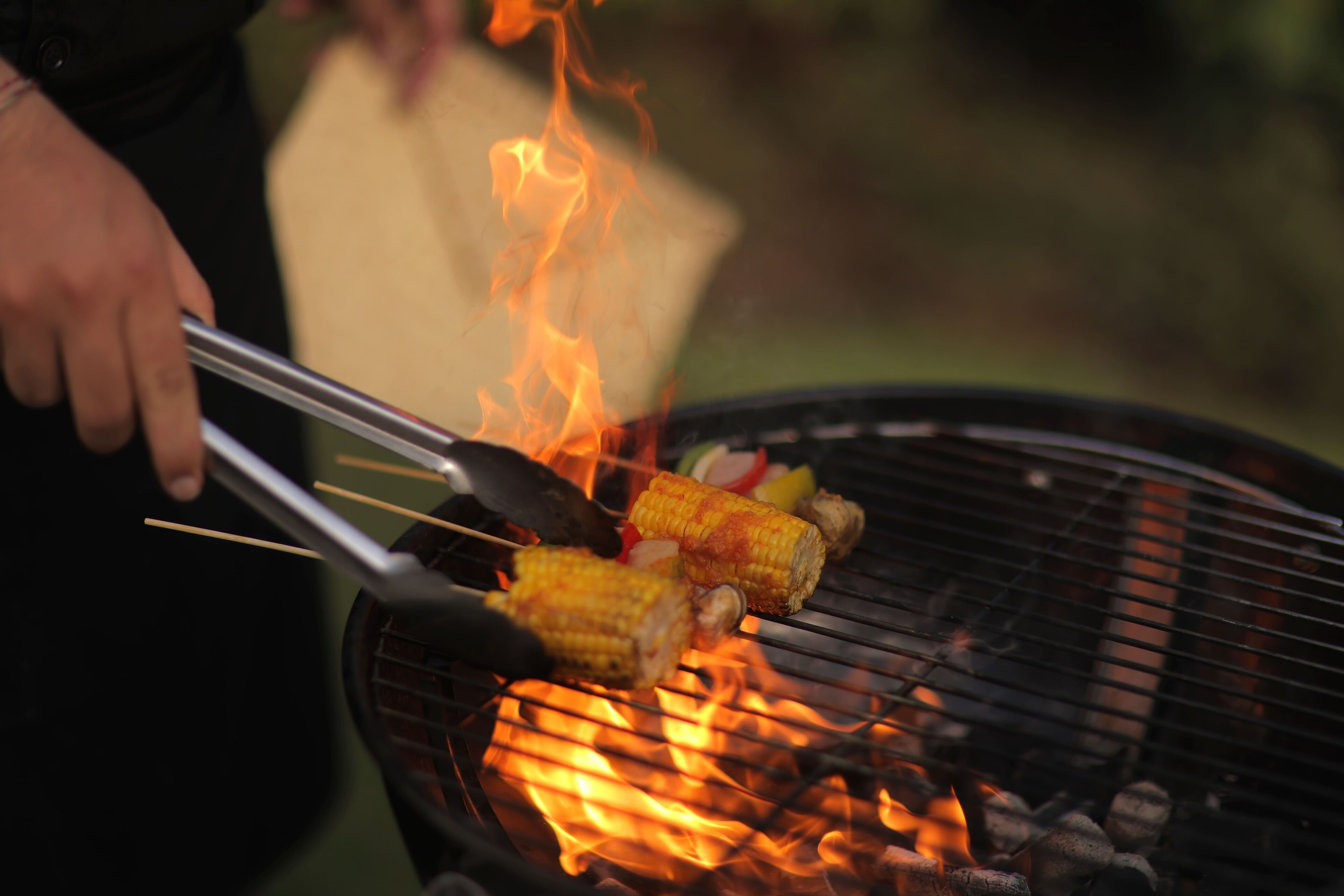Kawasan BBQ/berkelah