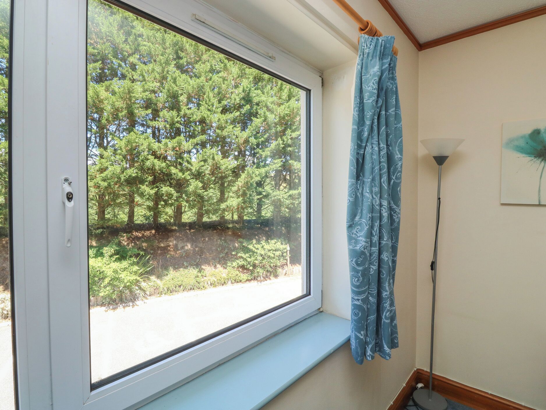 Ein Zimmer mit Fensterblick auf einen Wald, einem blauen Vorhang und einer Stehlampe.