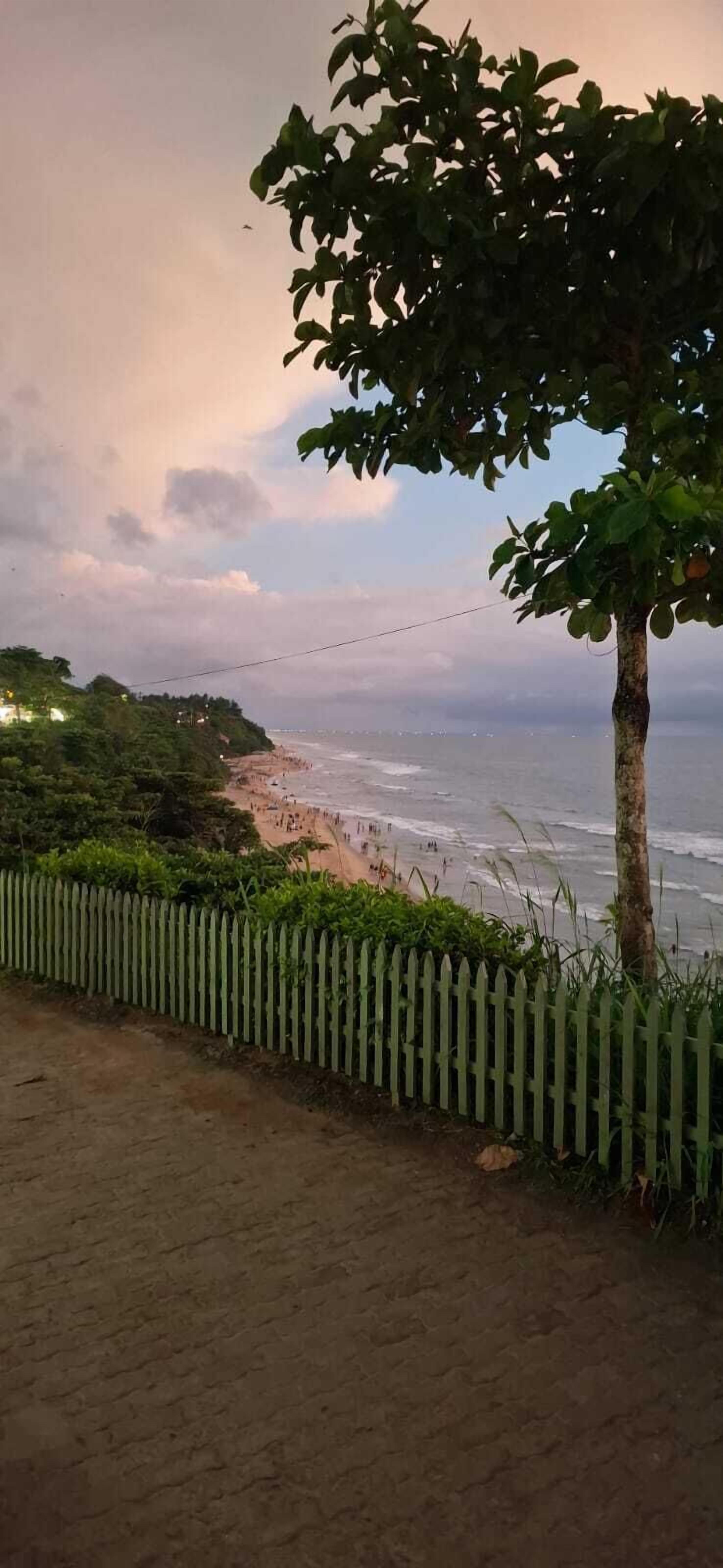 A coastal view with a wooden fence, a tree, and a paved path leading to a beach.
