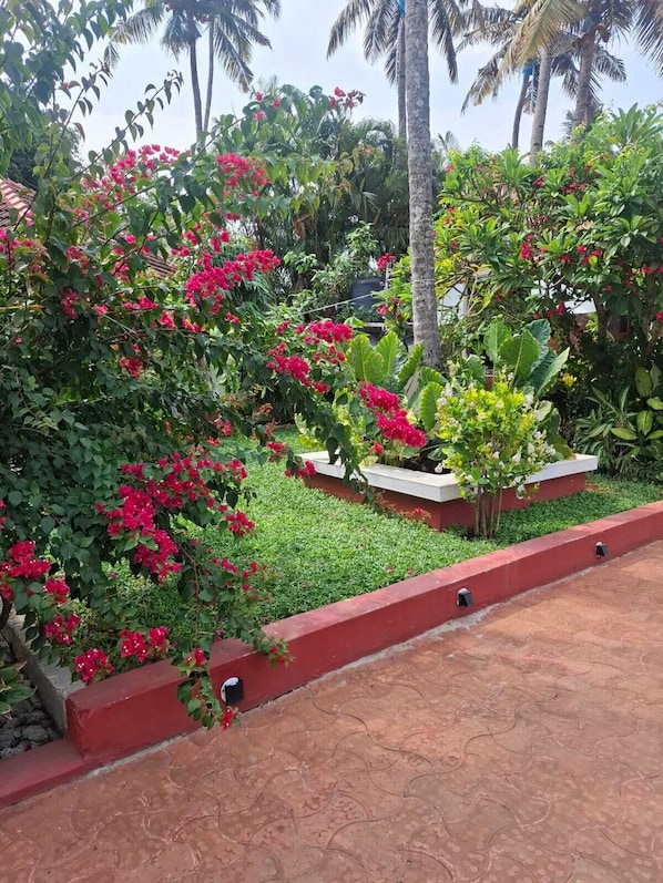 A garden with various plants and a paved walkway. - hillview beach resort (Varkala)