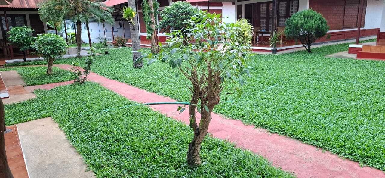 A well-maintained garden with a variety of plants and a paved walkway.