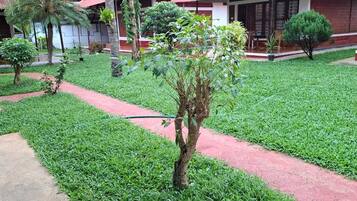 A well-maintained garden with a variety of plants and a paved walkway.