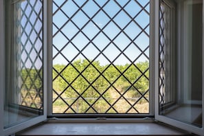 Classic Villa | View from room