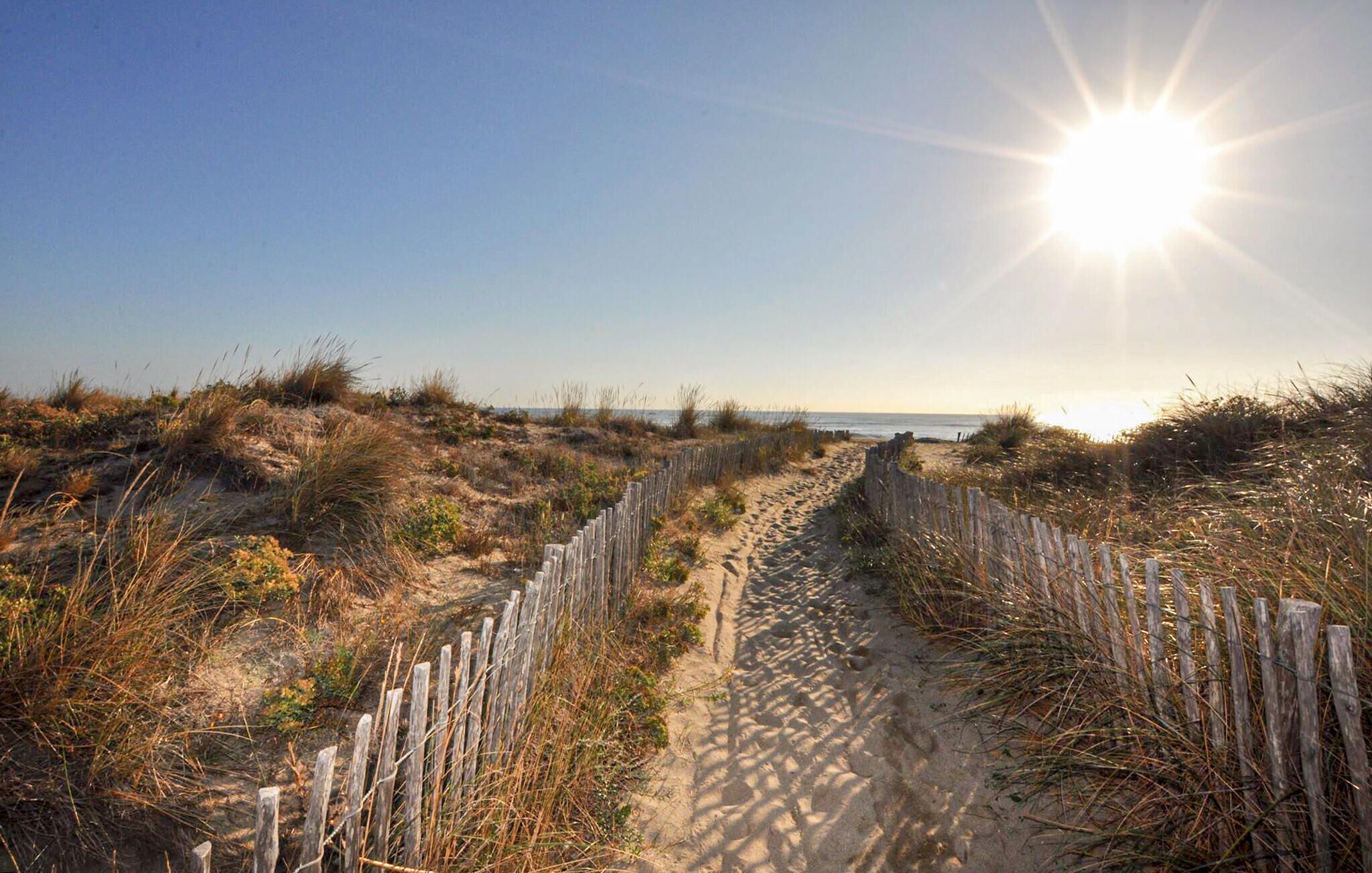 Un sendero arenoso con vallas de madera que conduce a una playa.