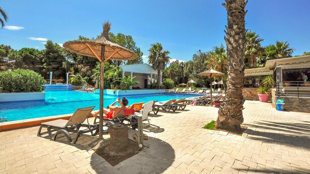 A pool area with lounge chairs, umbrellas, and palm trees.