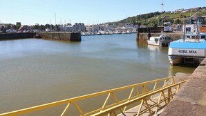 Un puerto deportivo con barcos amarrados, una barandilla amarilla de seguridad y al fondo, casas y colinas.