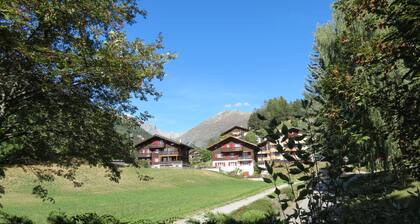 Ferienwohnung Fiesch für 1 - 2 Personen mit 1 Schlafzimmer - Ferienwohnung in Ein- oder Mehrfamilien