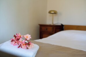 1 camera, Wi-Fi gratuito