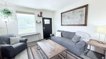Smart TV, fireplace, books