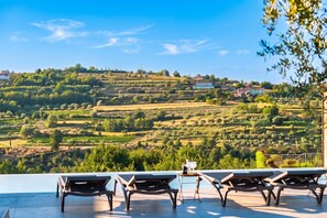 Une terrasse dotée de chaises longues, offrant une vue sur les vignobles en terrasses et un village.