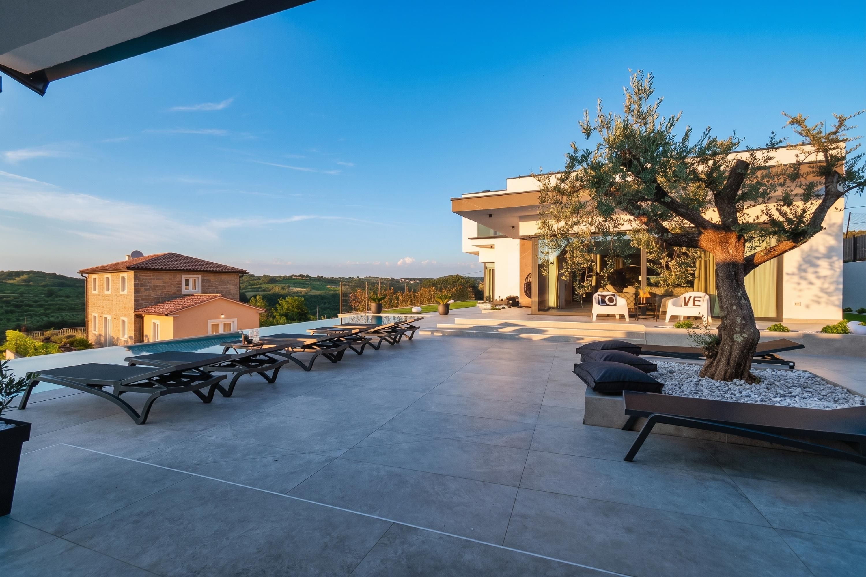 A modern outdoor area with a pool, lounge chairs, and a tree.