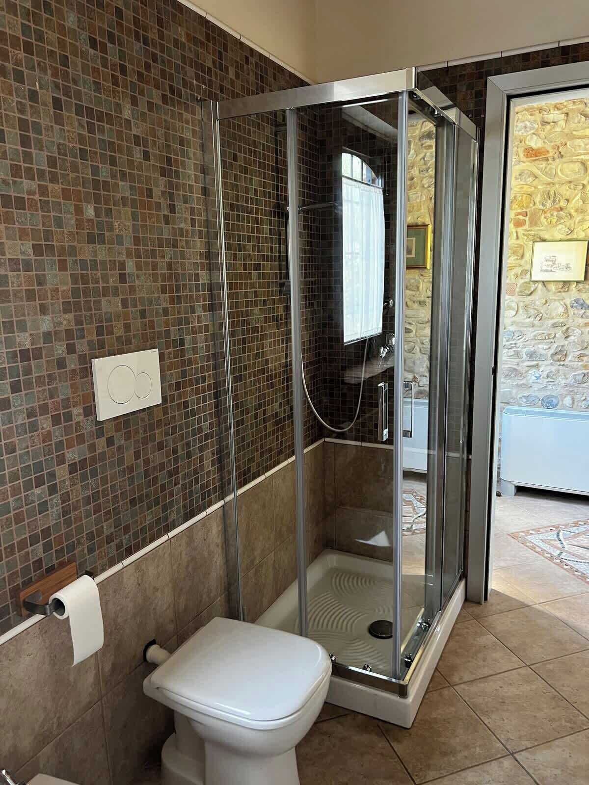 A bathroom with a glass-enclosed shower, a toilet, and a mosaic-tiled wall.