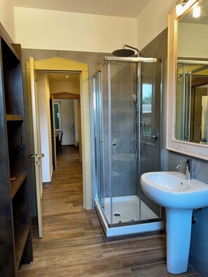 Shower, hair dryer, towels