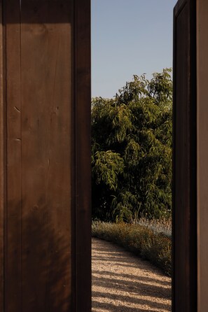 Property entrance - Ecohotel El Agua (Arico el Nuevo)