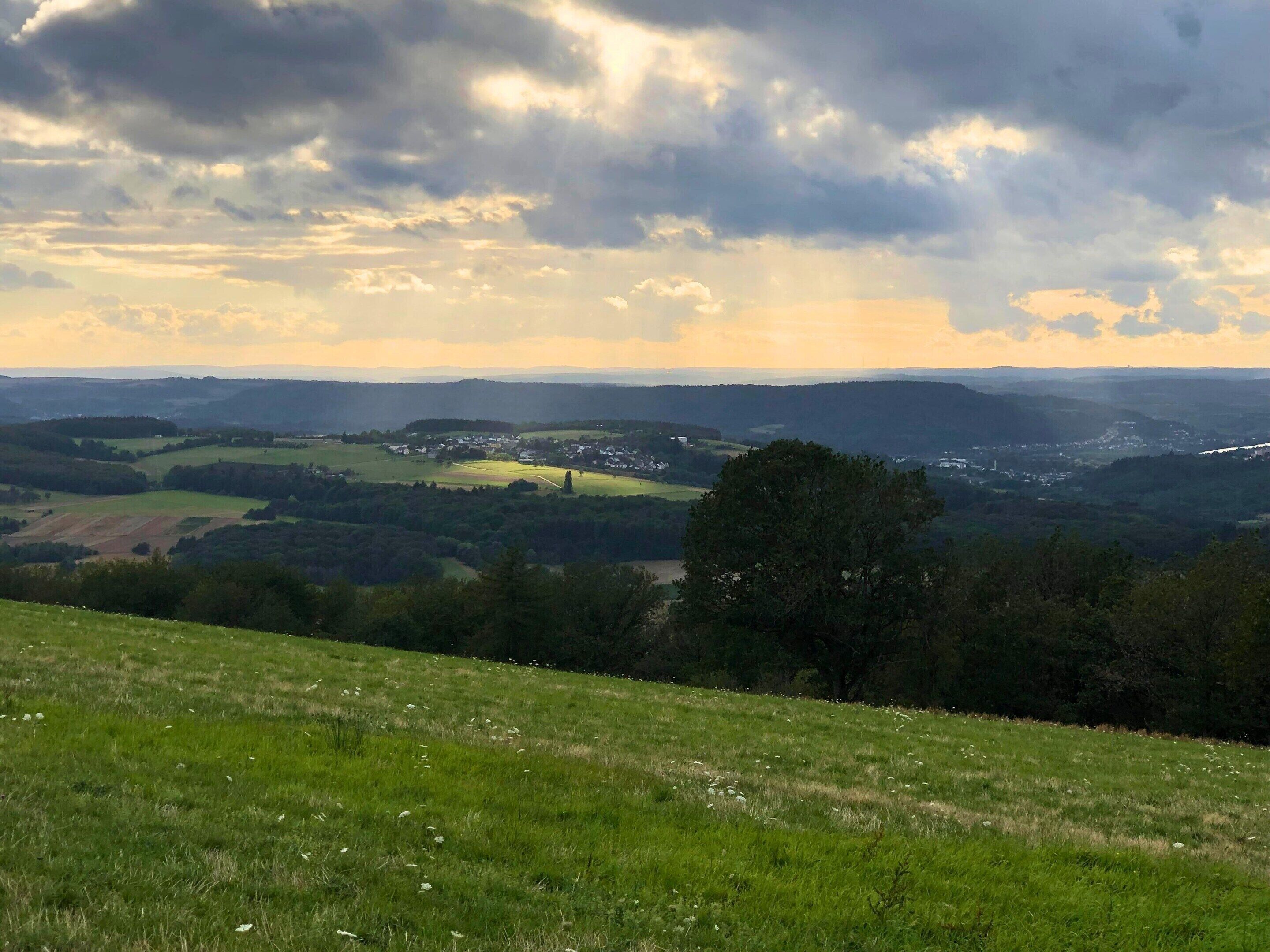 A panoramic view of a rural landscape with rolling hills, a small village, and a prominent tree in the foreground.