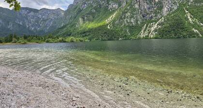Juliana Apartment- AC Bikes SUP Bled Bohinj