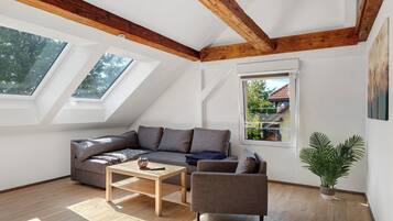 Fernseher