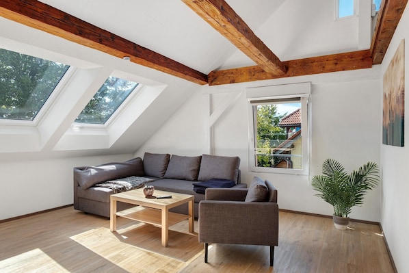 A modern loft with skylights, a wooden ceiling, a gray sofa, a coffee table, and a potted plant.