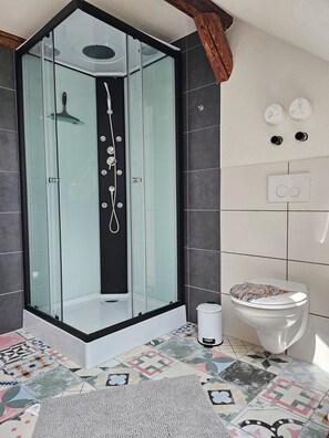 Shower, hair dryer, towels