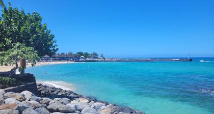 Superb F3, Indian Ocean view, quiet, secure residence, 2 free parking spaces