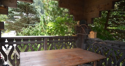 Chalet de montagne au calme, Ă 15 min du centre ville et 2 min d'un arrĂȘt de bus