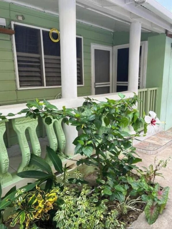 Une maison verte avec un porche, une fenêtre avec des stores et diverses plantes.