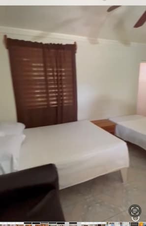 1 chambre, Wi-Fi