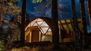 Une structure en forme de dôme géodésique, dotée d’une porte et de fenêtres en bois, et entourée d’arbres.