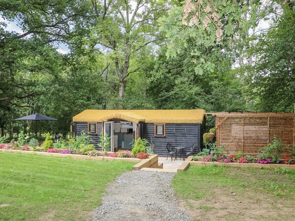 Charltons Hollow Cabin - West Sussex