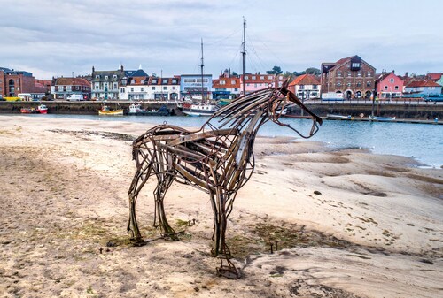 Forget Me Not Cottage