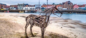 Forget Me Not Cottage