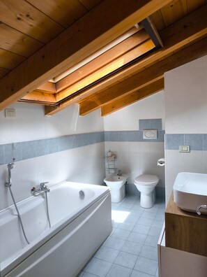 Shower, hair dryer, bidet, towels