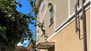 A narrow alleyway with a building on one side and a tree on the other. There are potted plants and a bicycle visible. - 5 min from the sea large Apartment - Wifi and Air Conditioning (Lido di Camaiore)