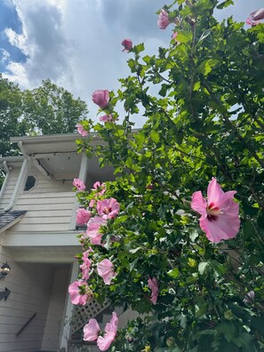 Una casa con porche y jardín lleno de flores rosadas.