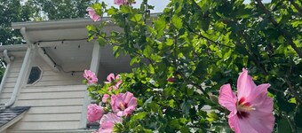 히스토릭 헤렌 하우스