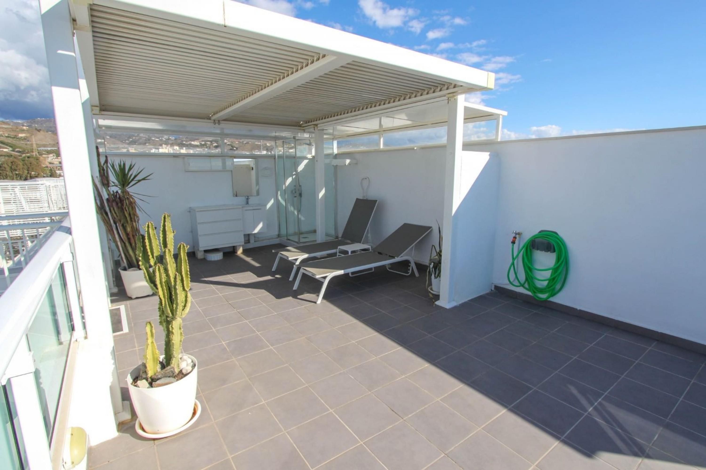 Eine Dachterrasse mit zwei Liegestühlen, einem Topf mit Kakteen und einem grünen Gartenschlauch.