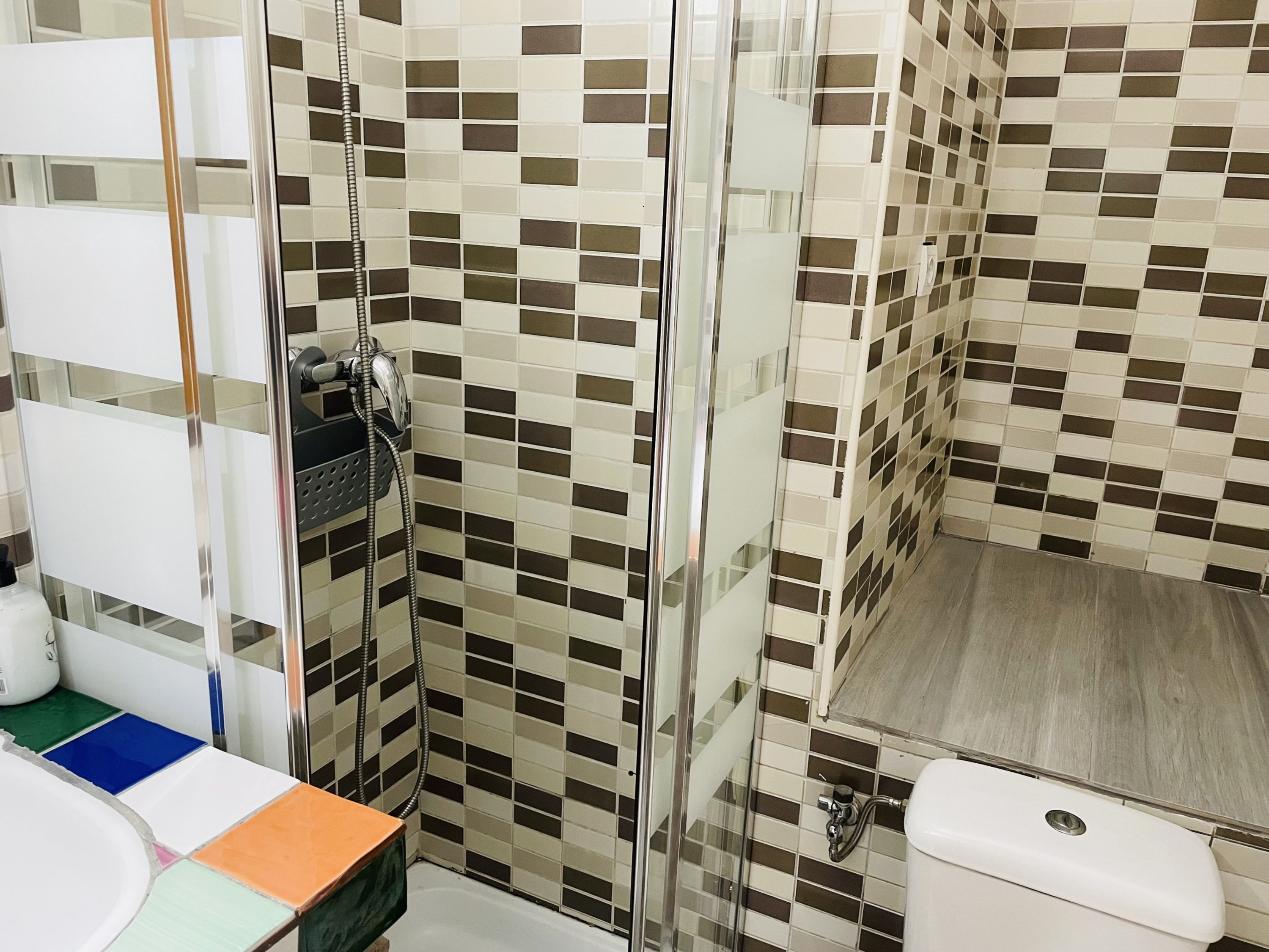 Un baño con zona de ducha, inodoro y lavabo.