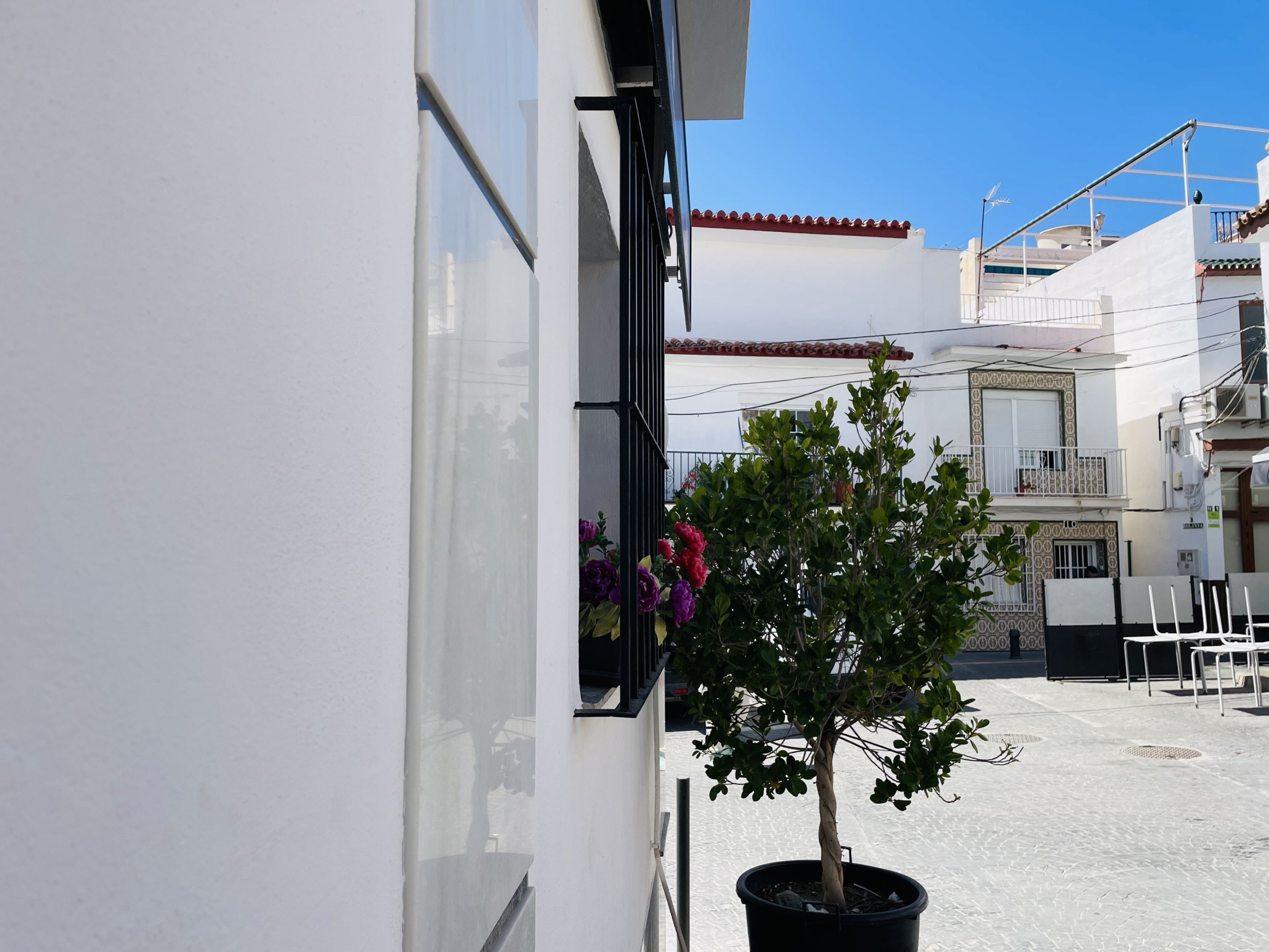 Et potteprydet træ med blomster, en hvid bygning med balkon og en klar blå himmel.