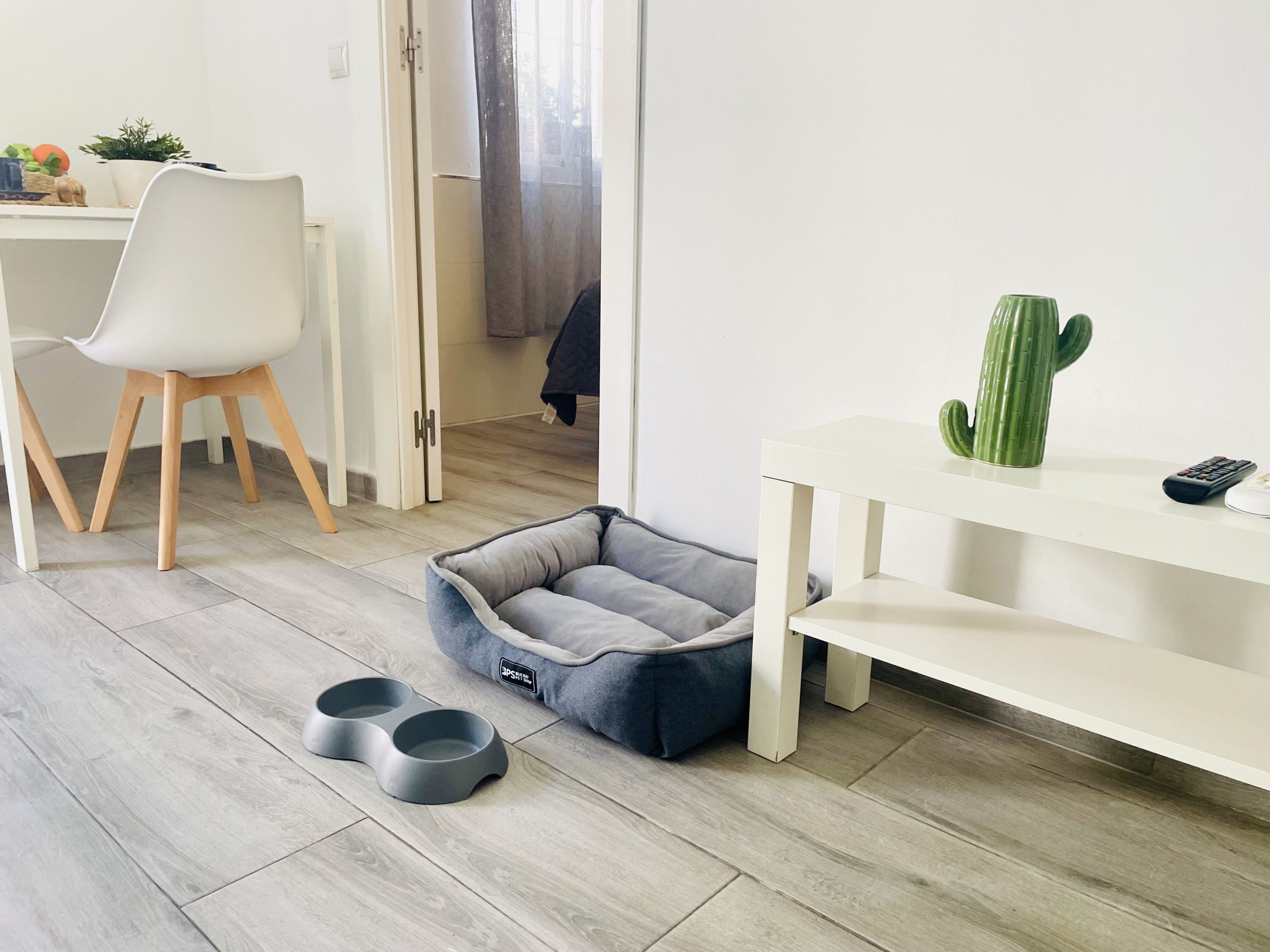 A room with a white desk, a chair, a pet bed, a cactus, and a remote control.