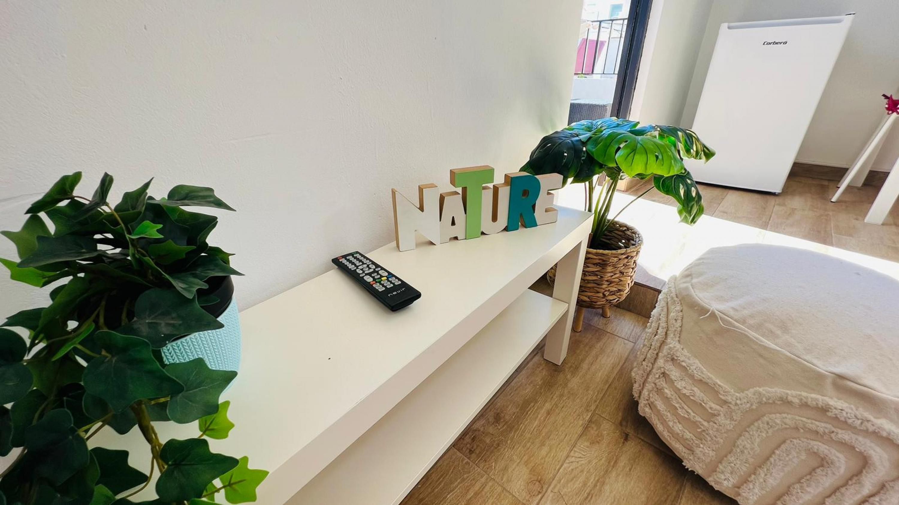 A bedroom with a bed, a bedside table with a remote control, a potted plant, and a wall-mounted shelf with decorative items.