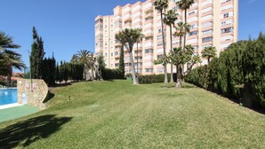 A grassy area with a swimming pool, palm trees, and a tall building in the background.