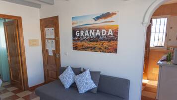 A room with a grey sofa, two patterned pillows, a poster of Granada, and a wooden door.