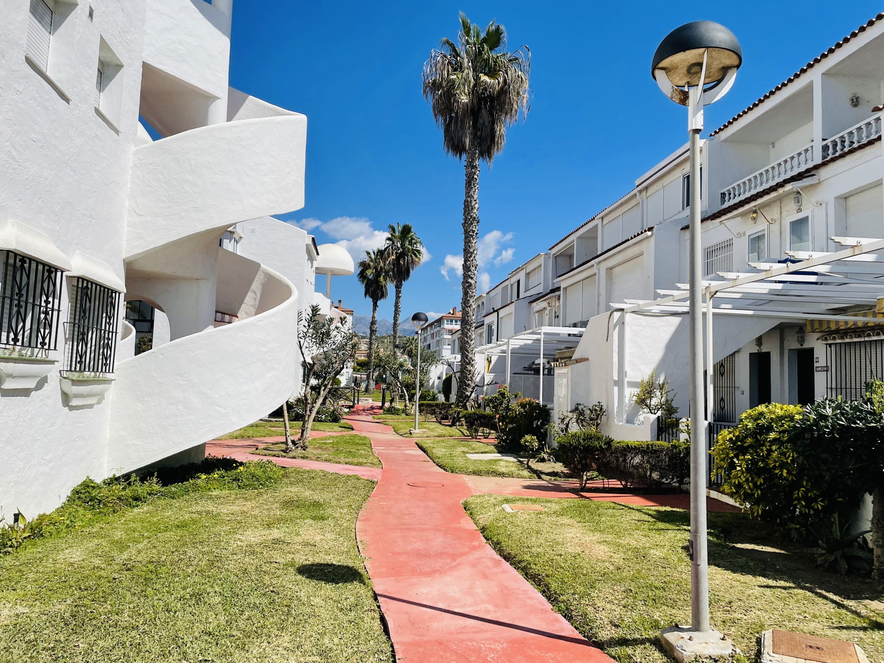 A pathway leading to a white building with balconies and a palm tree in the background.
